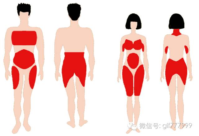 10张图看清人生真相,一张图看懂脂肪多可怕