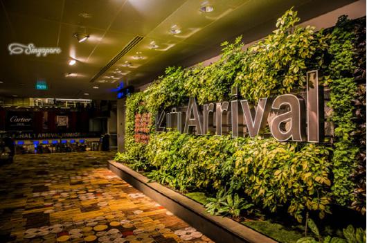 新加坡东海岸附近旅游攻略,新加坡购物攻略及必买清单