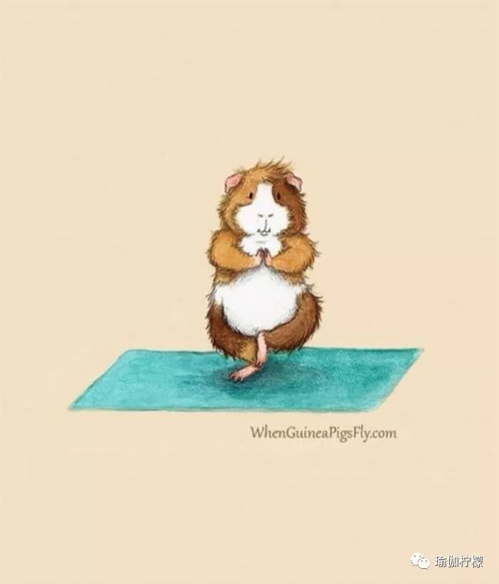 灏忚睔榧犵粌鐟滀冀,缁冪憸浼界殑灏忚睔榧犲お钀屼簡