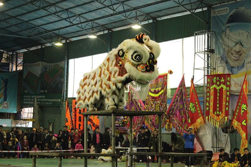 最精彩狮王争霸赛,狮王争霸赛精彩视频