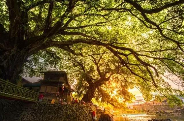 国内2月最美旅行地大推荐,风景线一路美到底(内附游玩线路)!