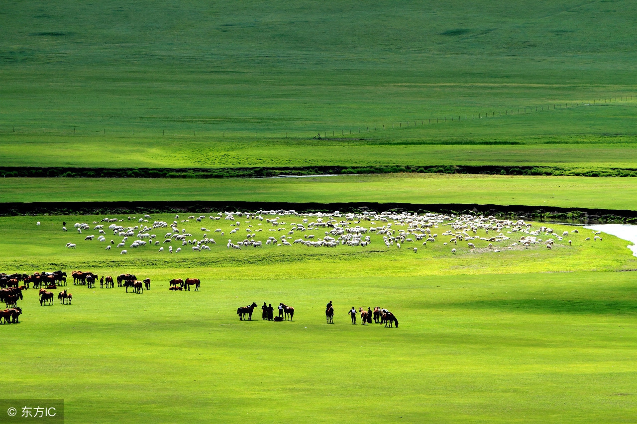 知识点一年级上册,anumberof的用法