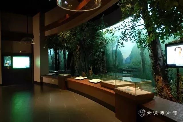 上海17号线东方绿舟,上海17号线附近游玩