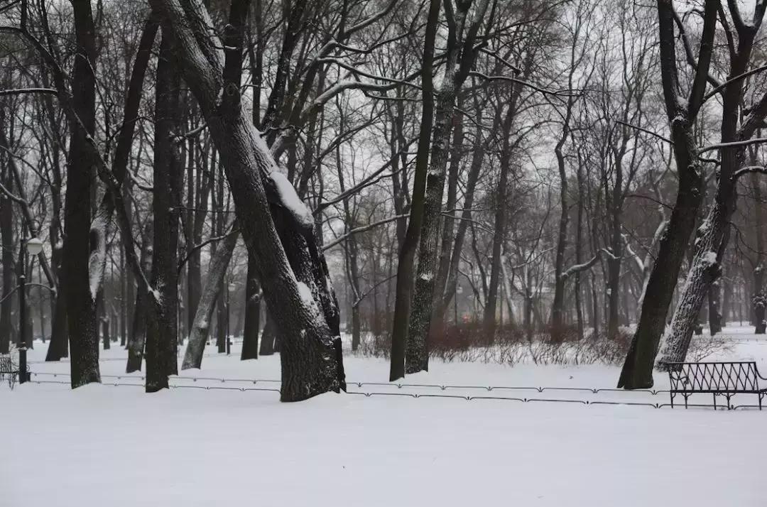 我去了一趟俄罗斯，那里有这个宇宙间最高的审美和康熙大帝的美食
