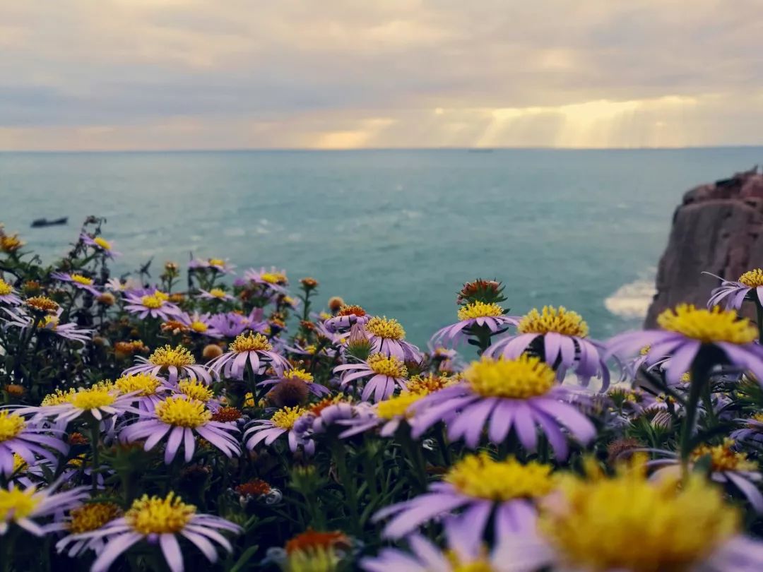 舟山沿海城市有多美,舟山是一座有魅力的城市