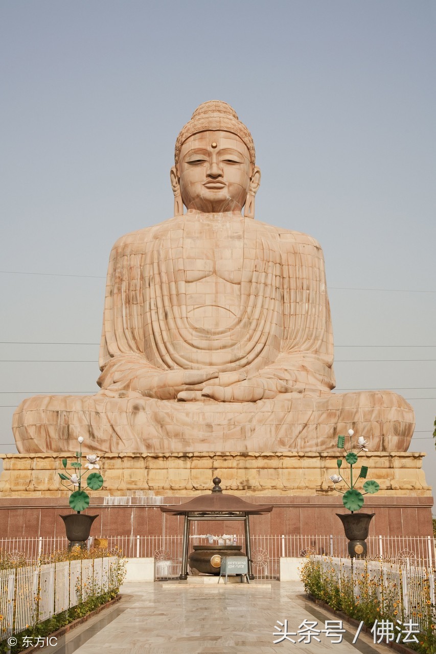 什么是四大皆空解释,什么是四大皆空搞笑