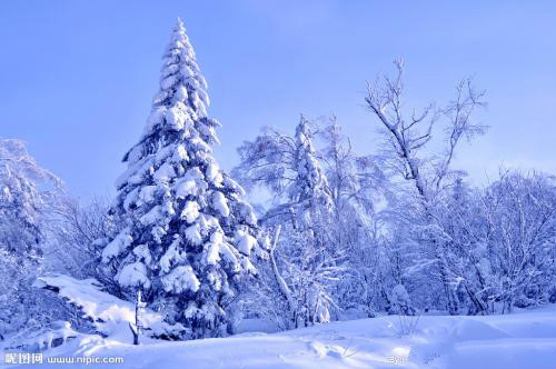 风霜雪雨后风采依旧诗句,经历风霜雪雨的诗句