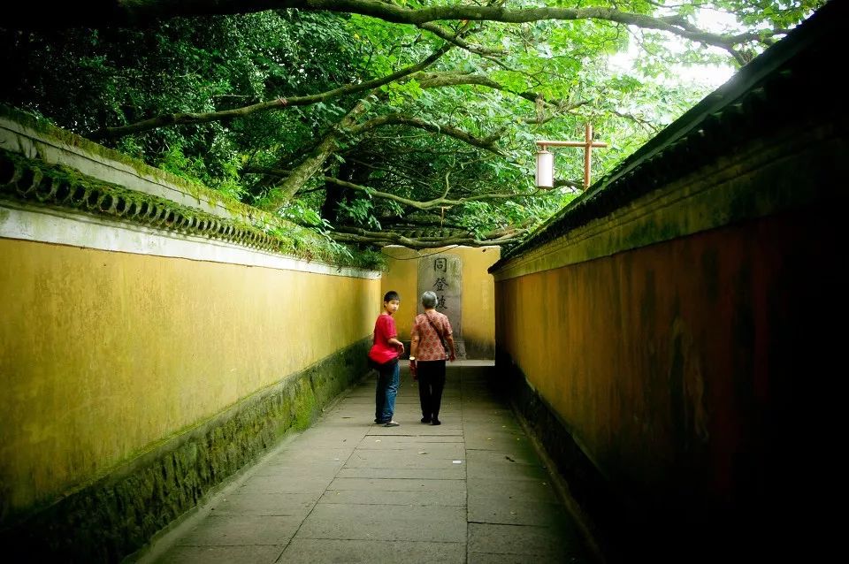 舟山沿海城市有多美,舟山是一座有魅力的城市