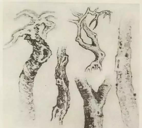 怎么画枯萎的树简单又好看,成长树怎么画小学生六年级