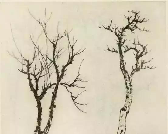 怎么画枯萎的树简单又好看,成长树怎么画小学生六年级