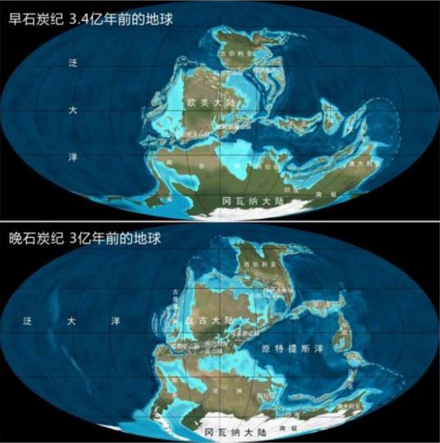 石炭纪煤炭是怎么形成的,为什么石炭纪产生煤炭