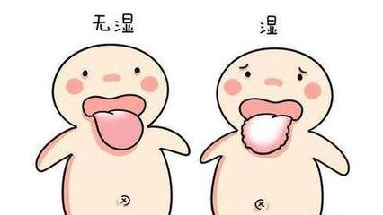 湿气确实挺可怕的必须得调理,人人都有湿气