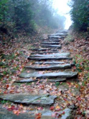 监收鱼盐之利读音,湖北监利渔政