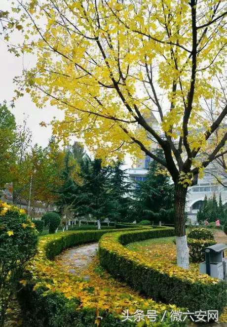 山东政法学院学费,山东政法学院宿舍