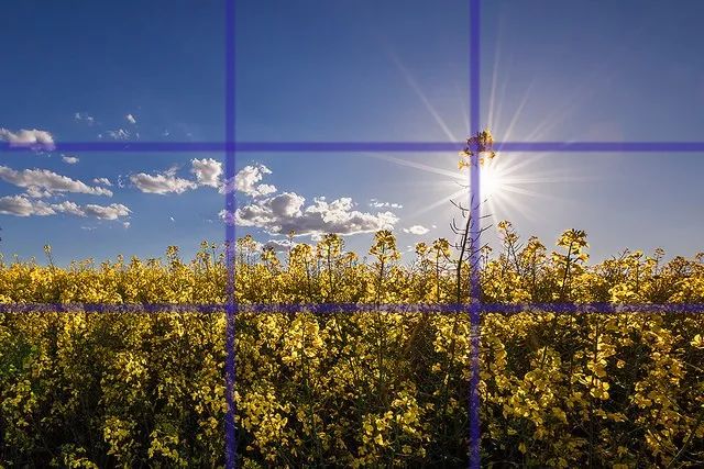 关于构图的照片,关于构图问题