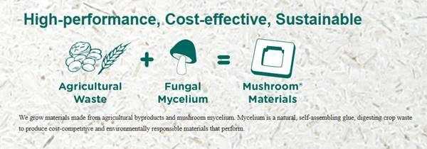 我们有一种大胆的想法,我们有一个大胆的想法