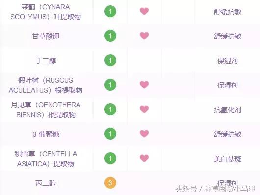 十大网红精华测评,网红精华必买产品