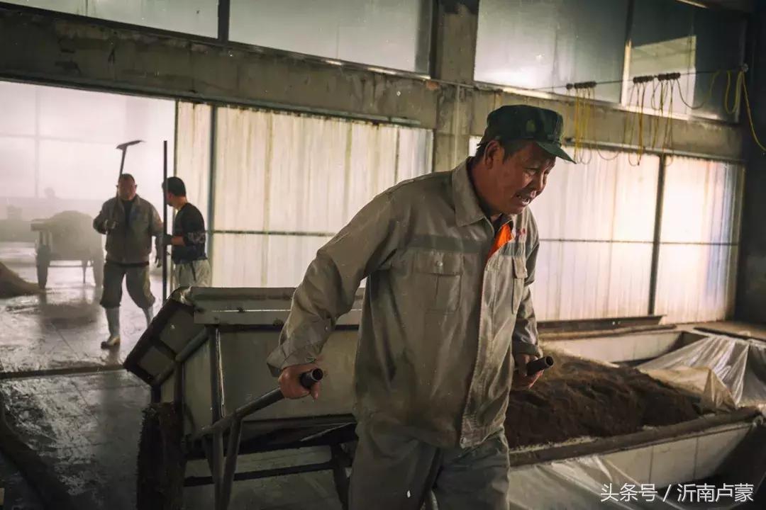 历山脚下醉三国诸葛故里智慧香（上）