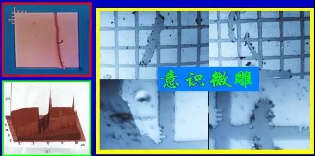 人体特异功能大揭秘,开发人体特异功能的经典方法