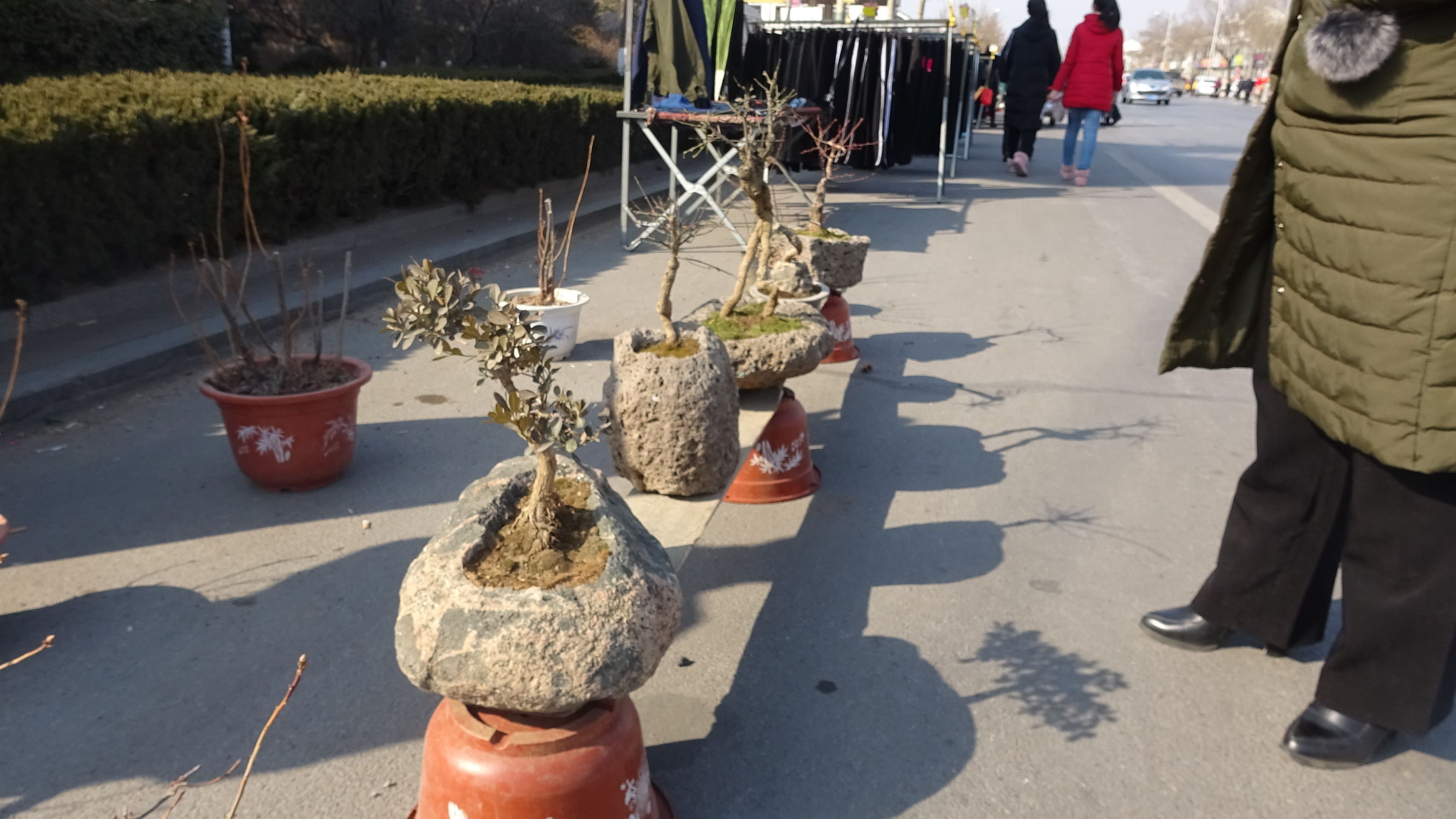 我的家乡集市,临朐县城大集