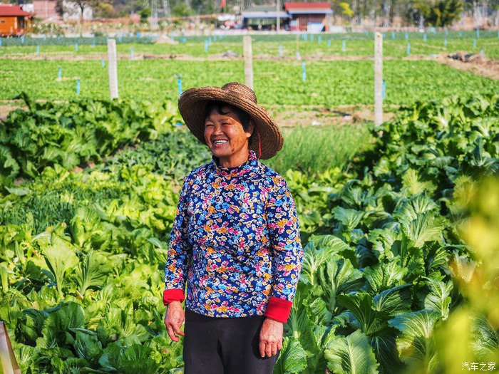 经典福克斯手动自驾游,福克斯stline自驾游