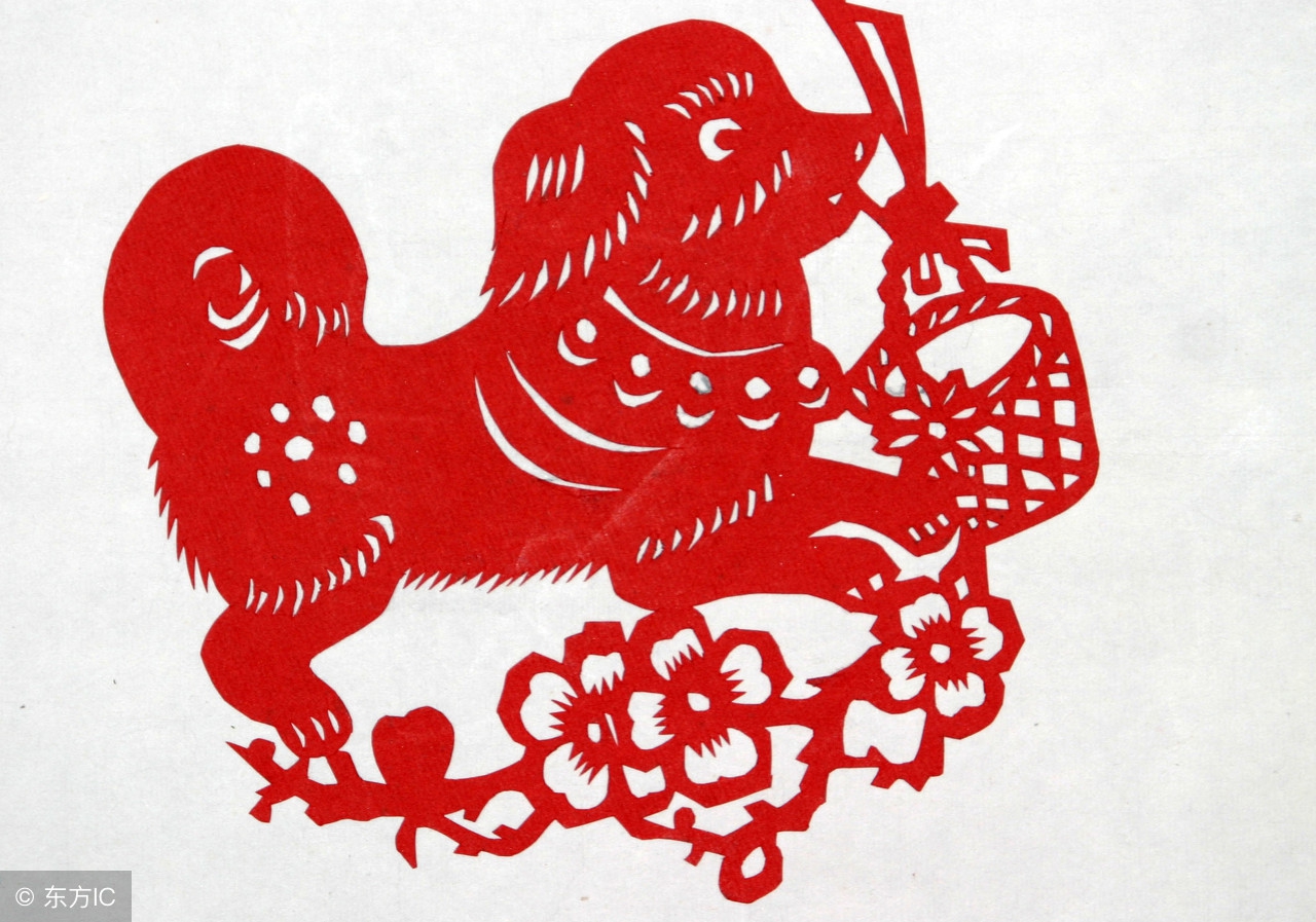 属狗人2023年运势运程犯太岁,1982年属狗的冲太岁运程怎样