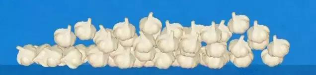 大蒜怎么做不发芽,大蒜最好吃的做法不发芽