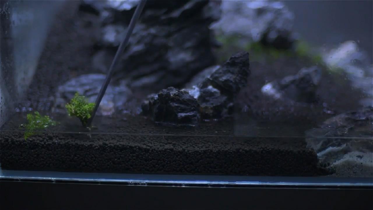 鱼缸景观搭建图解,鱼缸景观石制作教程