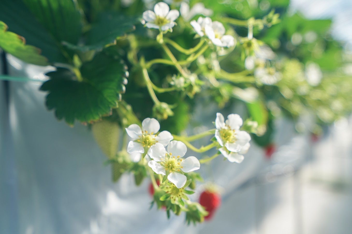 handycam,handycam亲子游