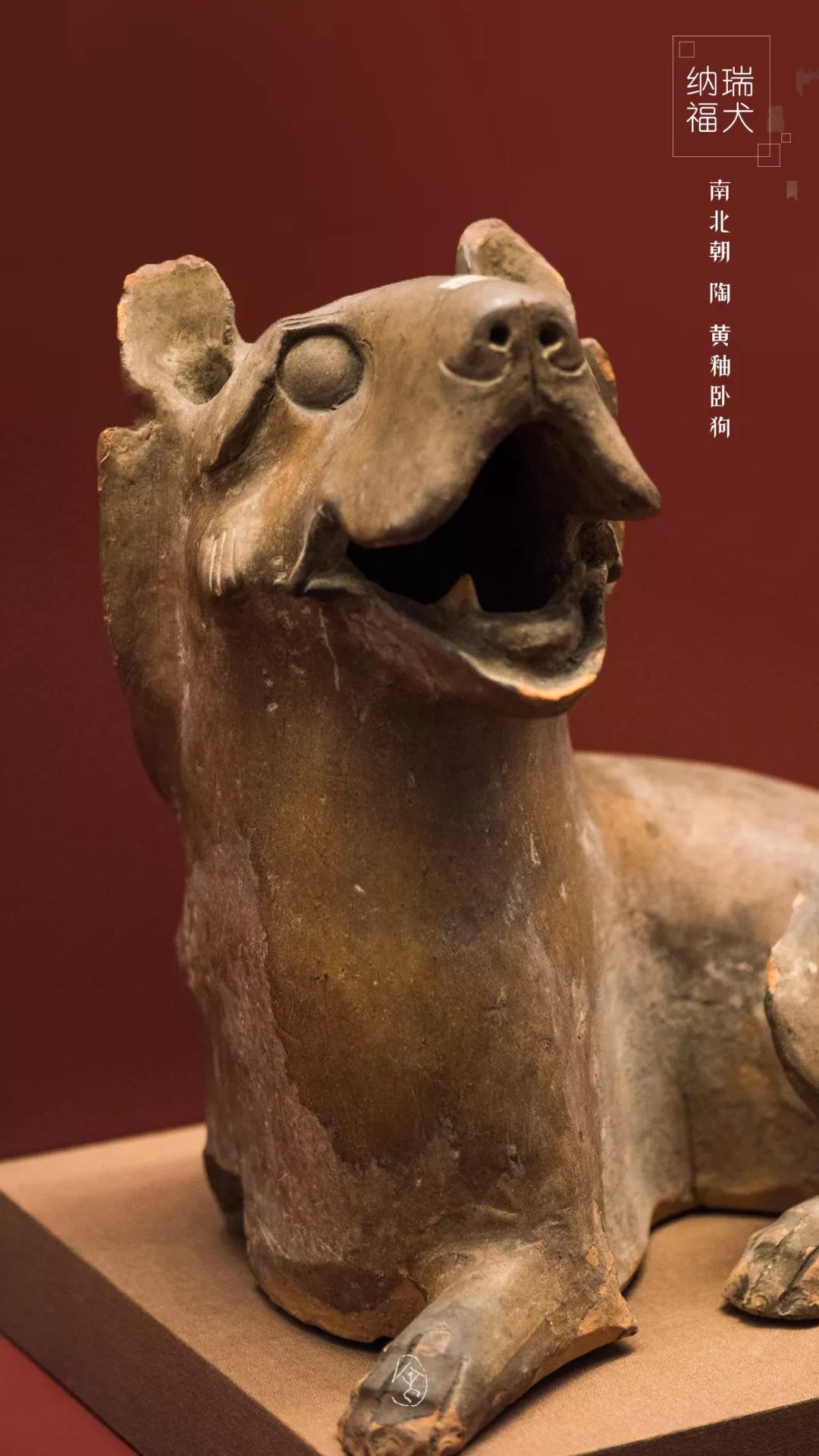 瑞狗迎春金狗纳福,瑞犬纳福2018年