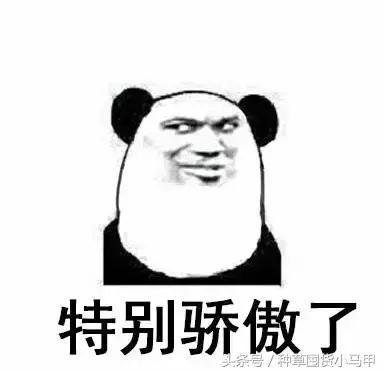 假代购常用骗术,代购骗术大揭秘