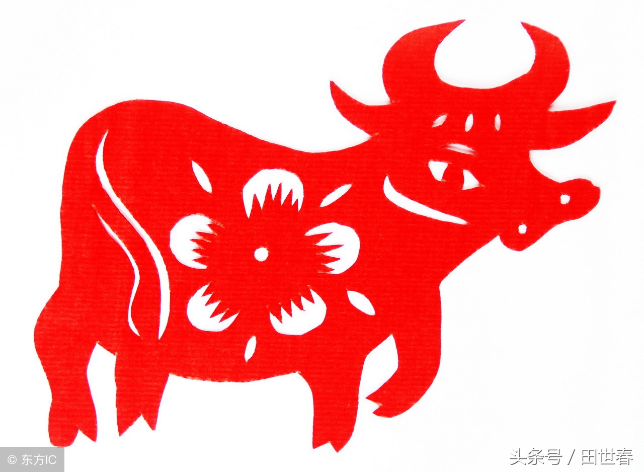 2018年十二生肖整体运势如何呢,2018年的12生肖运势详解