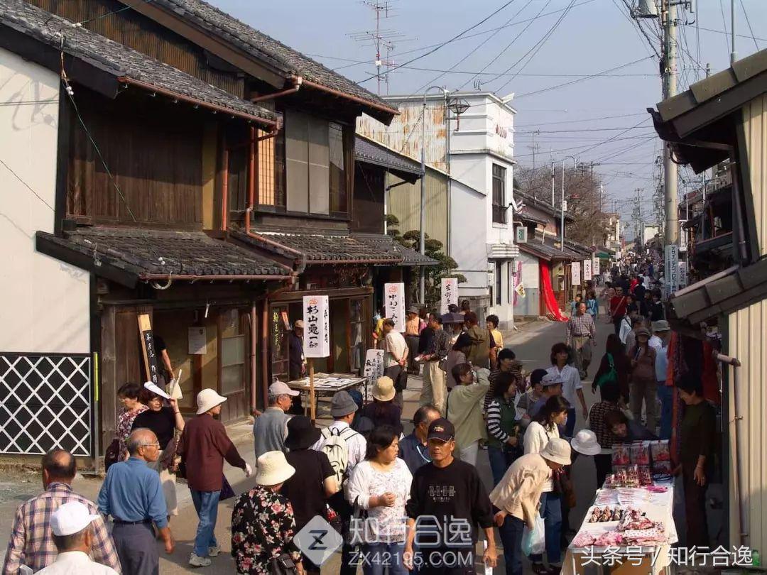 草莓补给，初春十里茶园为赛道，来挂川喝茶跑马！
