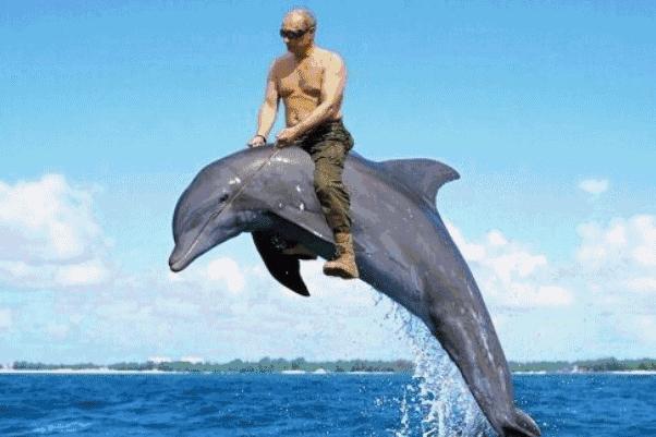 日本研究秃顶,日本教授秃头研究