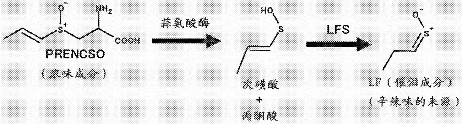 洋葱辣眼睛对眼睛有什么危害,洋葱辣眼睛怎么治疗