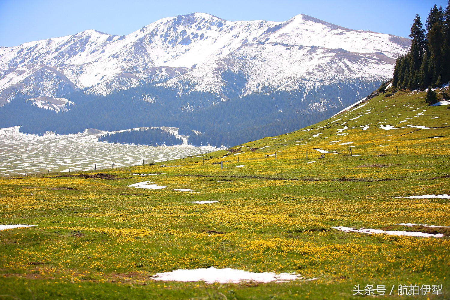 美丽的赛里木湖风景图片,赛里木湖的美景
