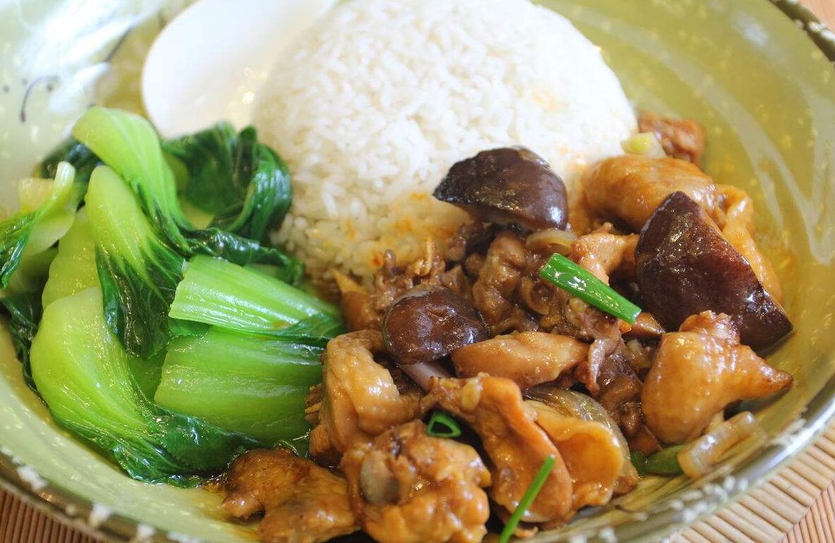 盖浇饭菜谱大全简单做法,各种荤素盖浇饭菜单大全