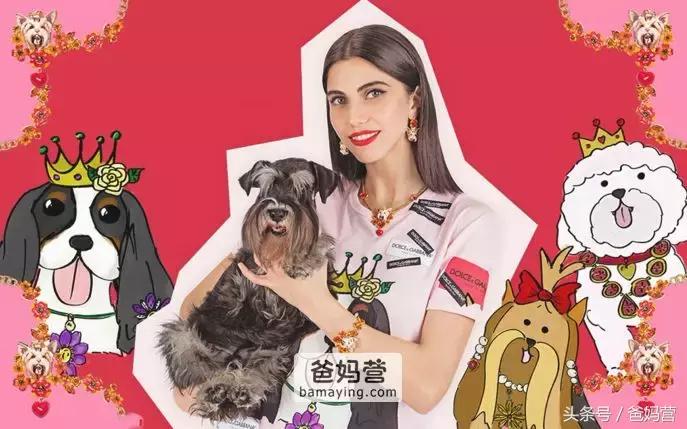 囧！LV、Gucci、Dior的狗年限量款！你们考虑过狗的感受吗？