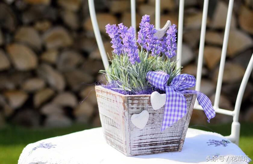 2018十二生肖流年运势详解,2018年十二生肖运势完整版