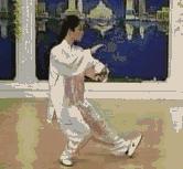 太极二十四式入门基本动作,太极入门学24式吗