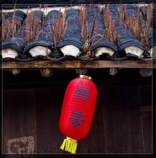 身虽远心已至怎么回复,身虽远心未远