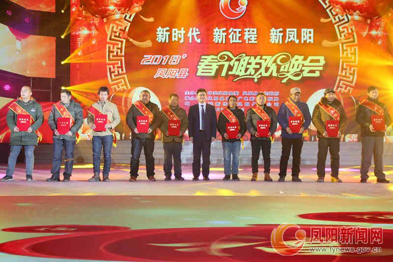 新时代新征程新伟业安徽,凤阳春节联欢晚会开幕式