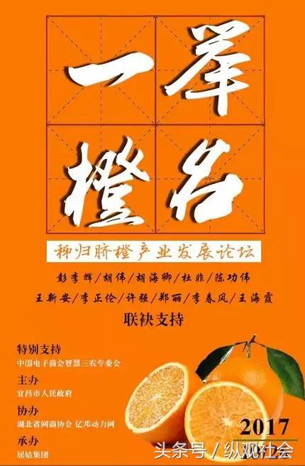 许强湖北网商协会个人资料,湖北网商协会许强简历