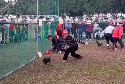 云南过大年,云南过大年怎么样的