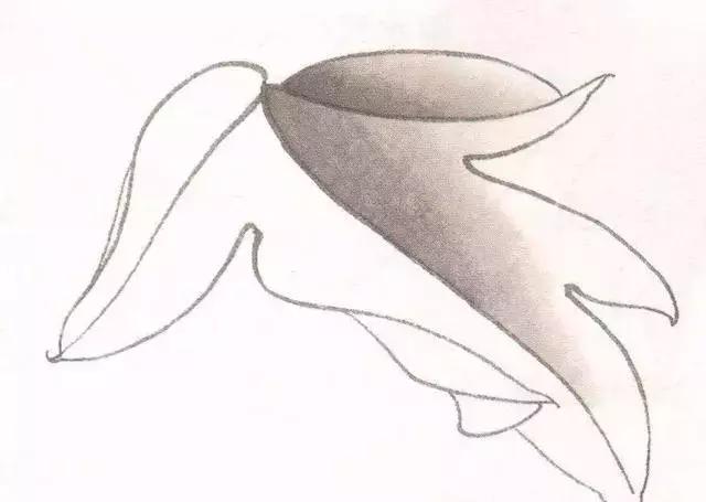 工笔画粉红花染色步骤,10分钟学会工笔画花朵染色