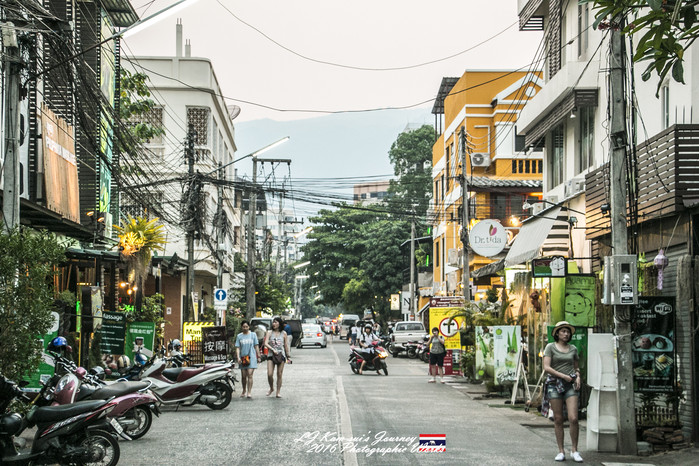 清迈佛寺之城等你采撷的泰北玫瑰,清迈环球旅行家