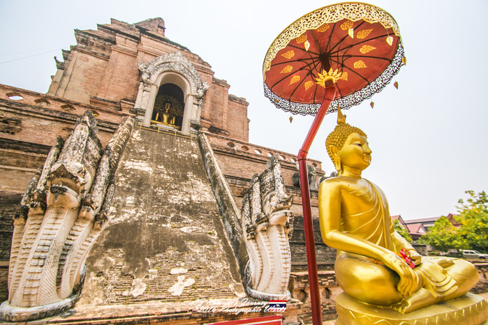 泰国清迈县旅行者,清迈佛寺之城等你采撷的泰北玫瑰