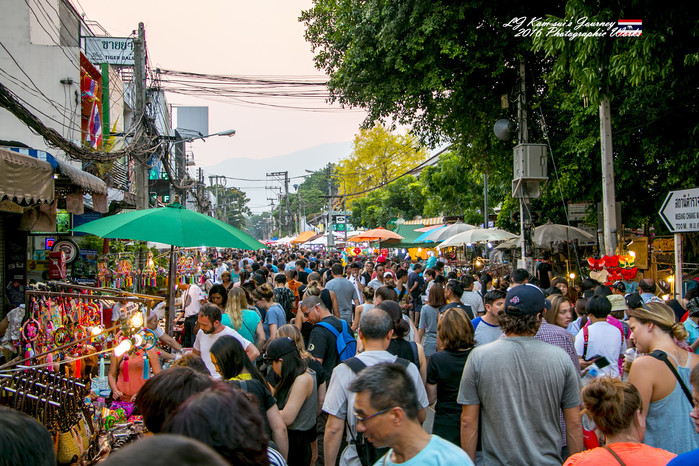 清迈佛寺之城等你采撷的泰北玫瑰,清迈环球旅行家