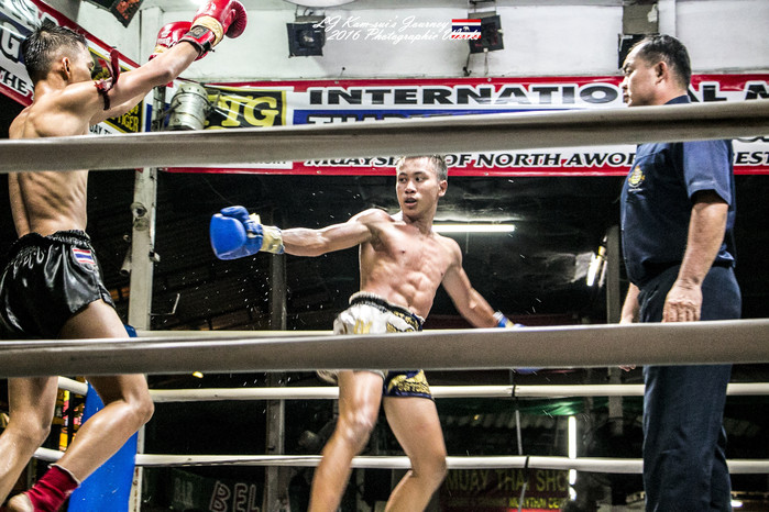 泰国清迈县旅行者,清迈佛寺之城等你采撷的泰北玫瑰