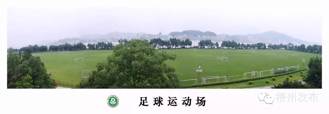 喜欢男生的100个理由,喜欢足球明星的理由